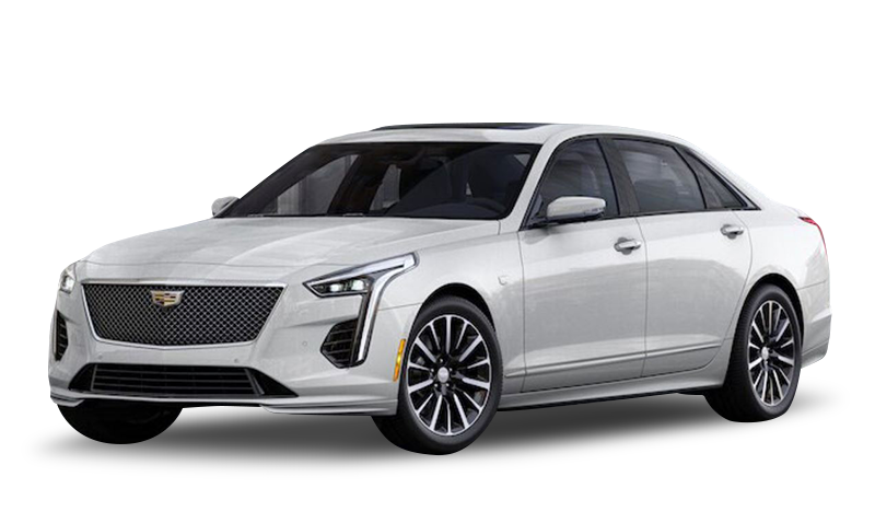 크리스탈 화이트 트리코트 익스테리어